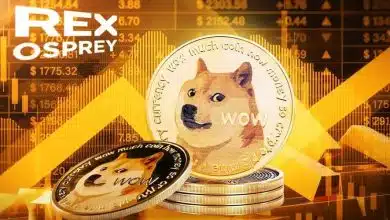 از راهاندازی قریبالوقوع ETF تا خروج نهنگها؛ چهچیزی در انتظار DOGE است؟