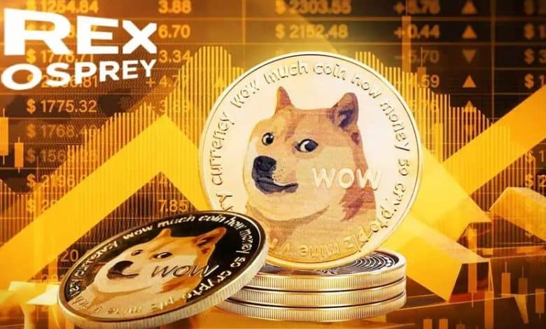 از راهاندازی قریبالوقوع ETF تا خروج نهنگها؛ چهچیزی در انتظار DOGE است؟