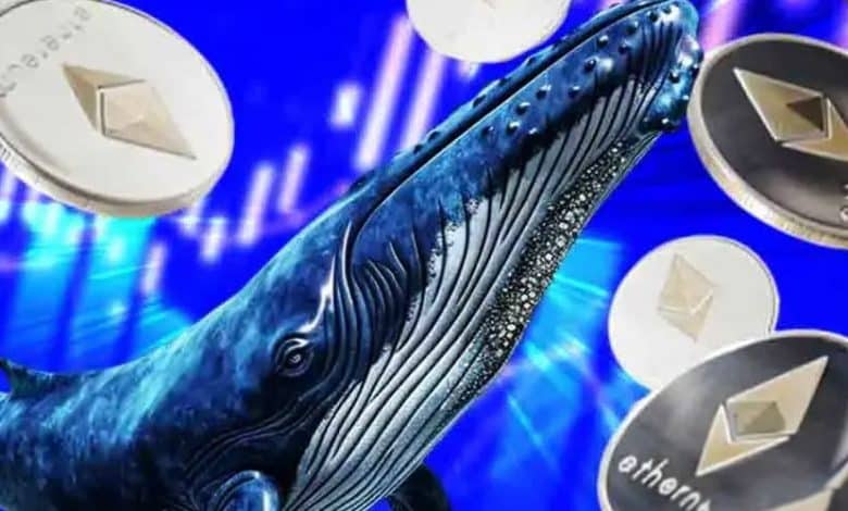 افزایش دو برابری ETH در آدرس هولدرها؛ ادامه اصلاح یا صعود قیمت؟
