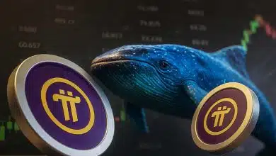 انباشت نهنگ ناشناس؛ پای نتورک آماده رشد ۳۸۸ درصدی؟