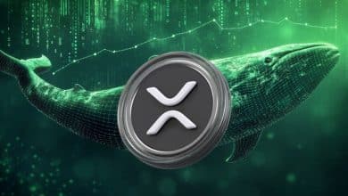 بازگشت طوفانی نهنگ‌های ریپل با انباشت ۳۴۰ میلیون XRP؛ ریزش قیمت متوقف می‌شود؟