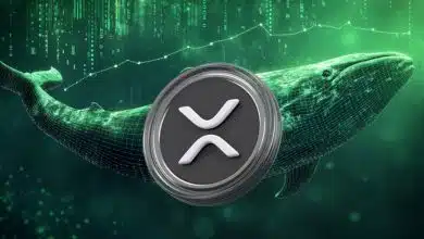 بازگشت طوفانی نهنگ‌های ریپل با انباشت ۳۴۰ میلیون XRP؛ ریزش قیمت متوقف می‌شود؟