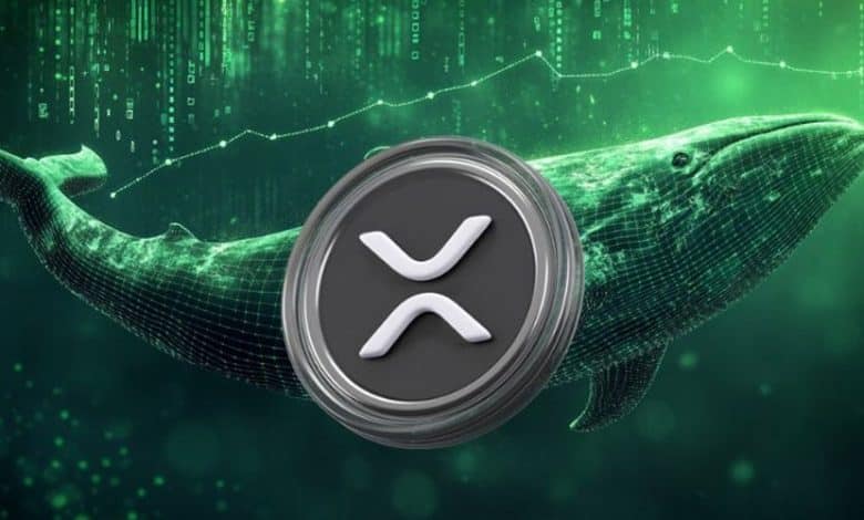 بازگشت طوفانی نهنگهای ریپل با انباشت ۳۴۰ میلیون XRP؛ ریزش قیمت متوقف میشود؟