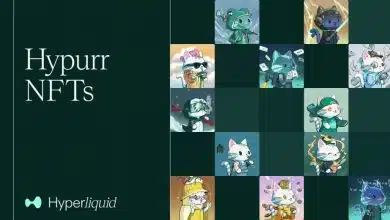 بازگشت هایپرلیکویید؛ معرفی NFTهای هایپور قیمت HYPE را به اوج جدیدی میرساند؟