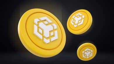 بایننس‌کوین رکورد ۹۹۵ دلار را هم شکست! راز موفقیت BNB در بازار کریپتو چیست؟
