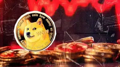 تشکیل خزانه ۱۷۵ میلیون دلاری دوجکوین! چرا بازار واکنش منفی نشان داد؟