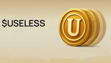 جهش خیرهکننده یوزلس کوین خلاف جهت بازار نزولی؛ آغاز یک موج صعودی جدید؟