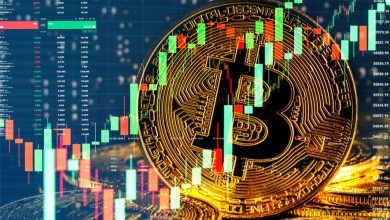 حمایت حیاتی بیت‌کوین شناسایی شد؛ دو سناریوی پیش روی قیمت BTC و بازار کریپتو