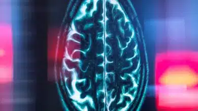 دانشمندان «مسافتسنج درون مغز» را شناسایی کردند