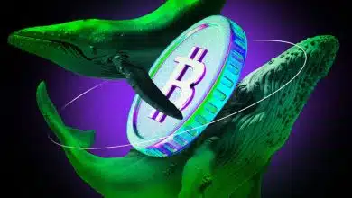 دو نهنگ غول‌پیکر مانع رشد بیت‌کوین! صعود قیمت چه زمانی از سر گرفته می‌شود؟