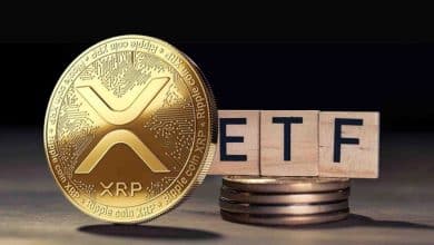 رکورد تاریخی ETF ریپل؛ اما چرا قیمت سقوط می‌کند؟