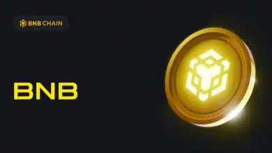 سرمایه‌گذاری صدها هزار دلاری در شبکه بی‌ان‌بی چین؛ قیمت BNB به اوج بازمی‌گردد؟