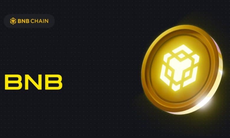 سرمایهگذاری صدها هزار دلاری در شبکه بیانبی چین؛ قیمت BNB به اوج بازمیگردد؟