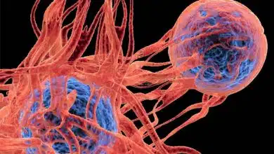 سلول‌های بنیادی مهندسی‌شده؛ سلاحی تازه علیه بازگشت سرطان در راه است