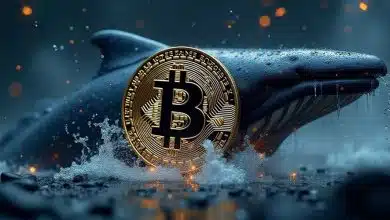 سود خیرهکننده ۵۴ میلیون دلاری؛ نهنگ عصر ساتوشی از خواب ۱۳ ساله بیدار شد!