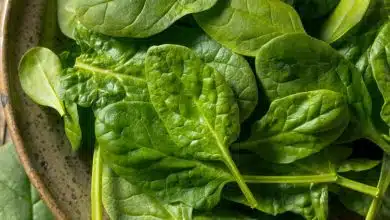 شش ماده غذایی که بیشتر از بادام منیزیم دارند