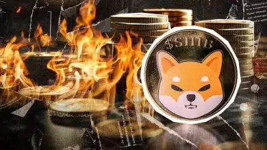 شیبا اینو آماده انفجار قیمتی؟ الگوهای صعودی و توکنسوزی دست به دست هم دادند!