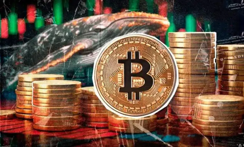فروش ۱۱۵ هزار بیتکوین توسط نهنگها؛ آیا خرید نهادی میتواند بازار را نجات دهد؟