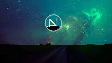 نت‌اسکیپ و آغاز تاریخچه باگ بانتی در سال ۱۹۹۵