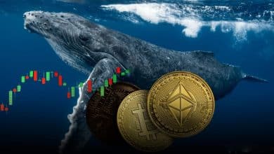 نهنگ بیت‌کوین و خرید ۳.۸ میلیاردی ETH؛ چرخش سرمایه یا بلوغ بازار؟