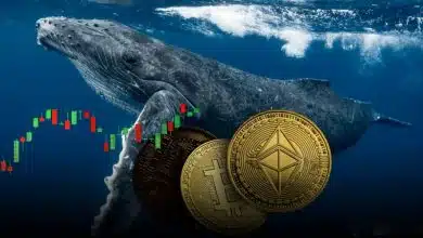 نهنگ بیت‌کوین و خرید ۳.۸ میلیاردی ETH؛ چرخش سرمایه یا بلوغ بازار؟