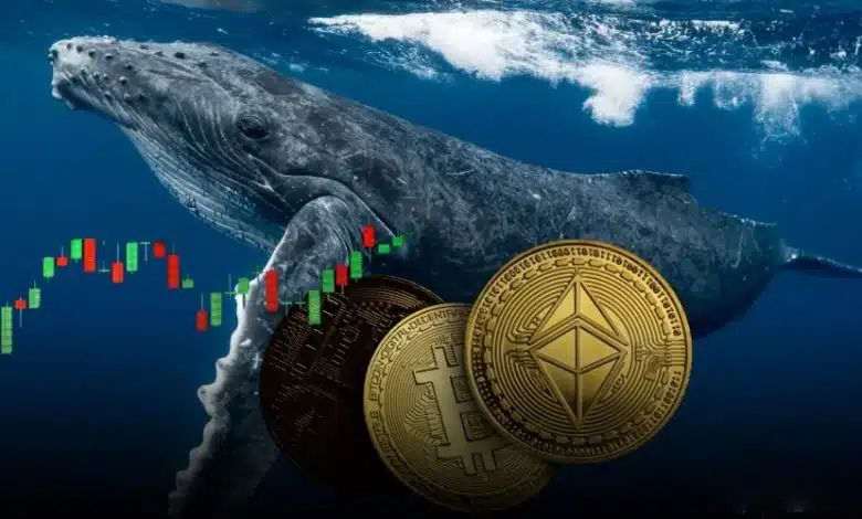 نهنگ بیتکوین و خرید ۳.۸ میلیاردی ETH؛ چرخش سرمایه یا بلوغ بازار؟