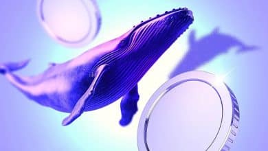 نگاهی به سبد خرید و فروش نهنگها؛ چه رمزارزهایی در مسیر صعود یا اصلاح هستند؟