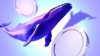 نگاهی به سبد خرید و فروش نهنگها؛ چه رمزارزهایی در مسیر صعود یا اصلاح هستند؟