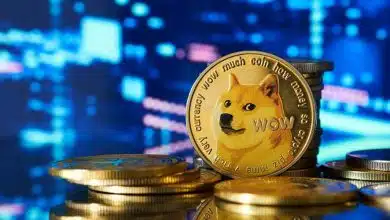 هولد یا فروش؟ استراتژی سرمایهگذاران دوج کوین در سال ۲۰۲۵!