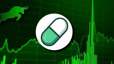 پامپ.فان رکورد تاریخی خود را شکست! صعود ادامه دارد یا فشار فروش آغاز میشود؟