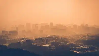 چرا کاشت درخت در مناطق گرمسیری تأثیر بیشتری بر خنککردن زمین دارد؟