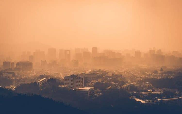 چرا کاشت درخت در مناطق گرمسیری تأثیر بیشتری بر خنککردن زمین دارد؟