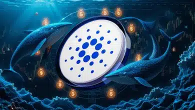 کاردانو درگیر نبرد با نهنگها؛ معاملهگران ۱ دلار را پس میگیرند؟