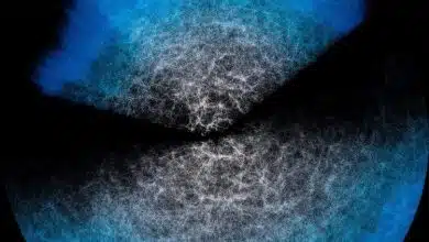 Effort.jl؛ شبیهسازی سریعتر و دقیقتر از ابررایانهها