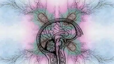 آلزایمر یک بیماری خودایمنی است؟ کشف نظریه انقلابی