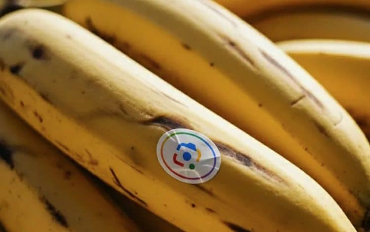 ادغام Nano Banana با NotebookLM و جستوجوی گوگل؛ مرزهای جدید خلاقیت با هوش مصنوعی