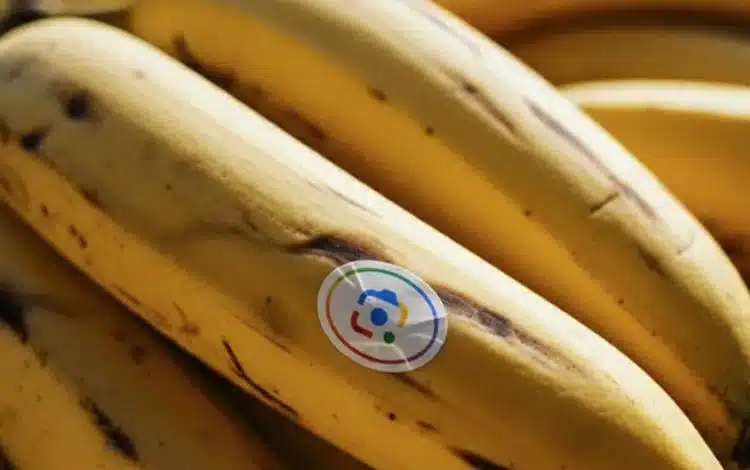ادغام Nano Banana با NotebookLM و جستوجوی گوگل؛ مرزهای جدید خلاقیت با هوش مصنوعی