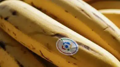 از ویدیوهای آبرنگی تا ویرایش چت‌محور تصاویر؛ گوگل کاربرد Nano Banana را گسترش می‌دهد