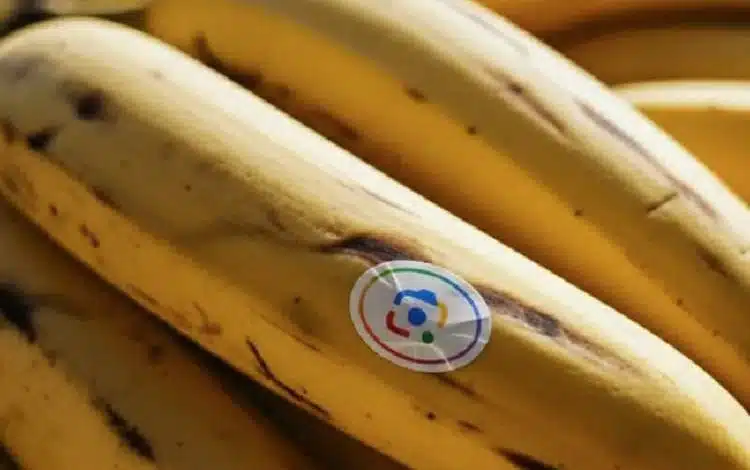 از ویدیوهای آبرنگی تا ویرایش چتمحور تصاویر؛ گوگل کاربرد Nano Banana را گسترش میدهد