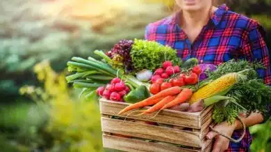 اصلاح رژیم غذایی علاوه بر کاهش آلایندهها جان میلیونها انسان را نجات میدهد