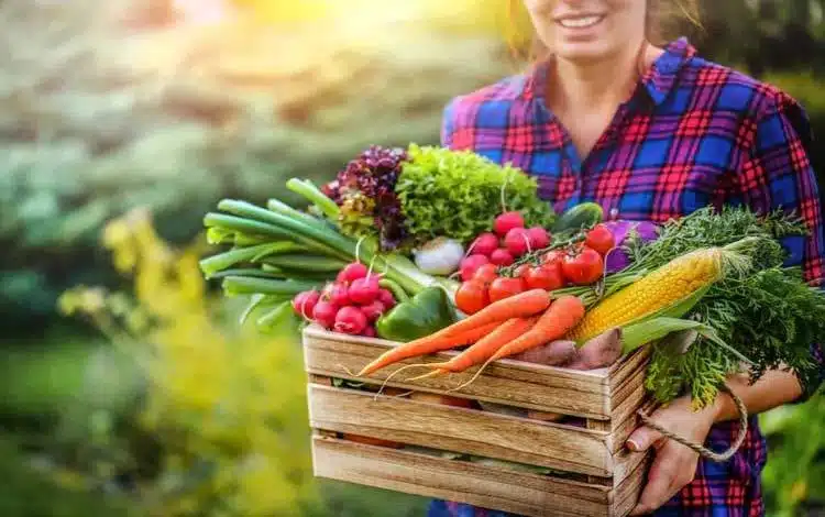 اصلاح رژیم غذایی علاوه بر کاهش آلایندهها جان میلیونها انسان را نجات میدهد