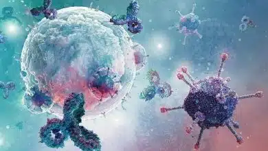 تحول در روند درمان سرطان با تبدیل «تومورهای سرد» به «تومورهای داغ»