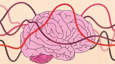 تحول مغز انسان در چرخه قاعدگی؛ تصویر جدید از اثر هورمونها