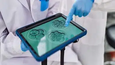 تولید سلولهای تخمک از پوست انسان؛ گامی نوین در باروری آزمایشگاهی