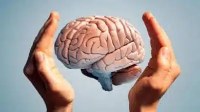 دانشمندان برای انسان مغز مینیاتوری ساختند!