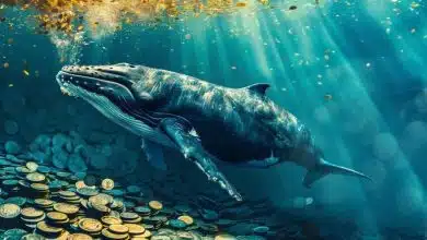 رالی ماه اکتبر نزدیک است؛ کدام رمزارزها در سبد خرید نهنگ‌ها قرار دارند؟