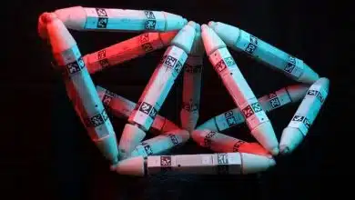 رباتی که با تغذیه از ربات‌های دیگرخودش را ترمیم می‌کند