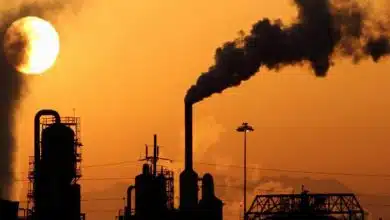 «رنج در پیش است»؛ هشدار دانشمندان درباره خطر گرمای مرگبار برای میلیاردها نفر تا پایان قرن