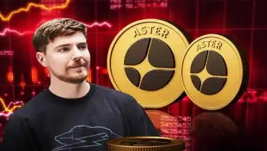 ریزش ۲۰ درصدی استر در یک روز؛ مستر بیست و نهنگ‌ها همچنان می‌خرند!