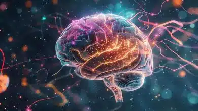 چرا بعضی خاطرات برای همیشه در ذهن باقی میمانند؟